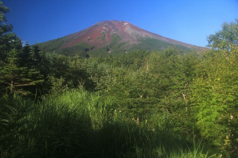 a0188405_103020.jpg