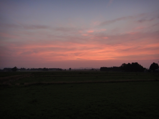 b0172805_1020441.jpg