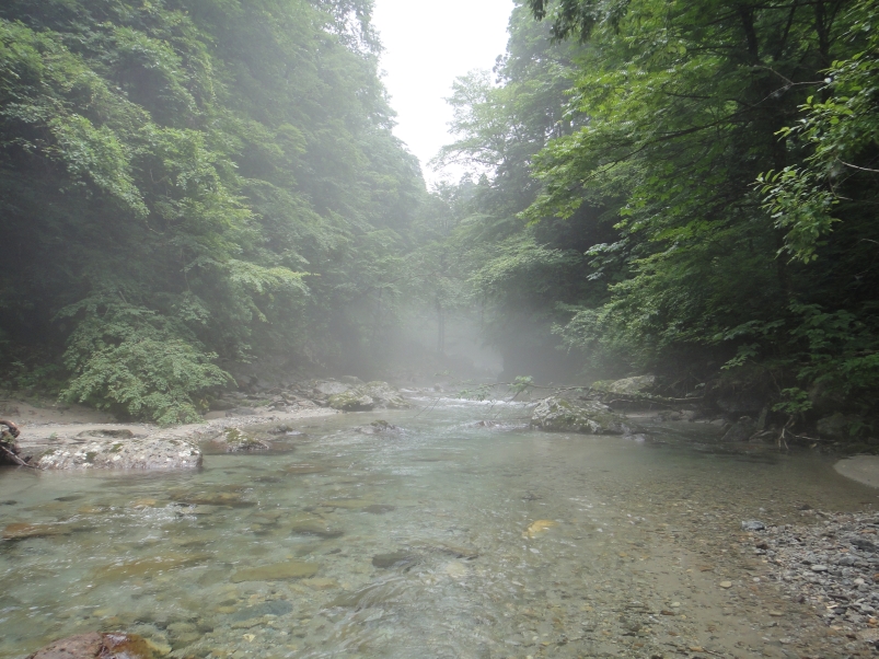 b0172805_9563521.jpg