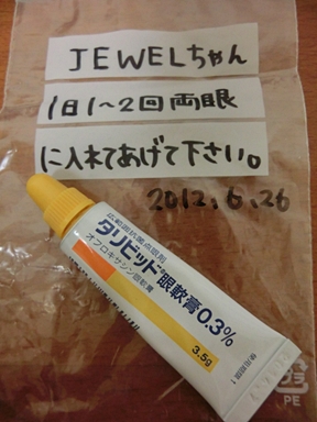 c0110906_10595940.jpg