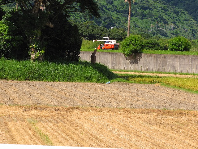d0037110_21155483.jpg