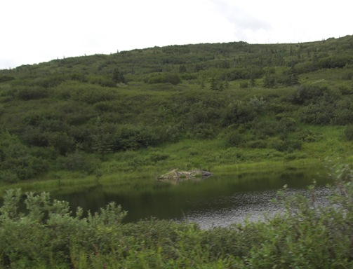 d0098316_023422.jpg