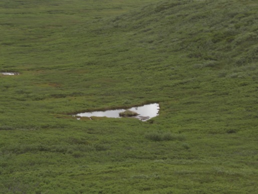 d0098316_0234264.jpg