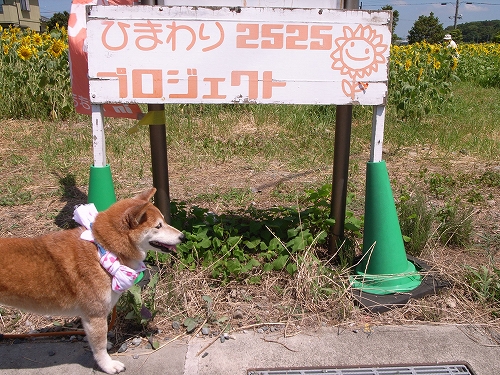 b0225620_314444.jpg