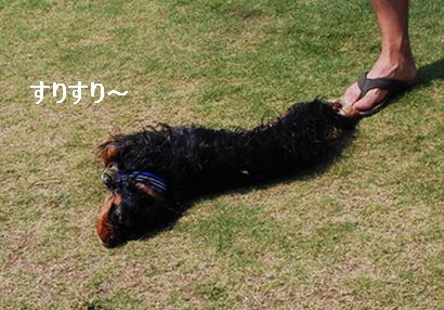 f0214121_8552099.jpg