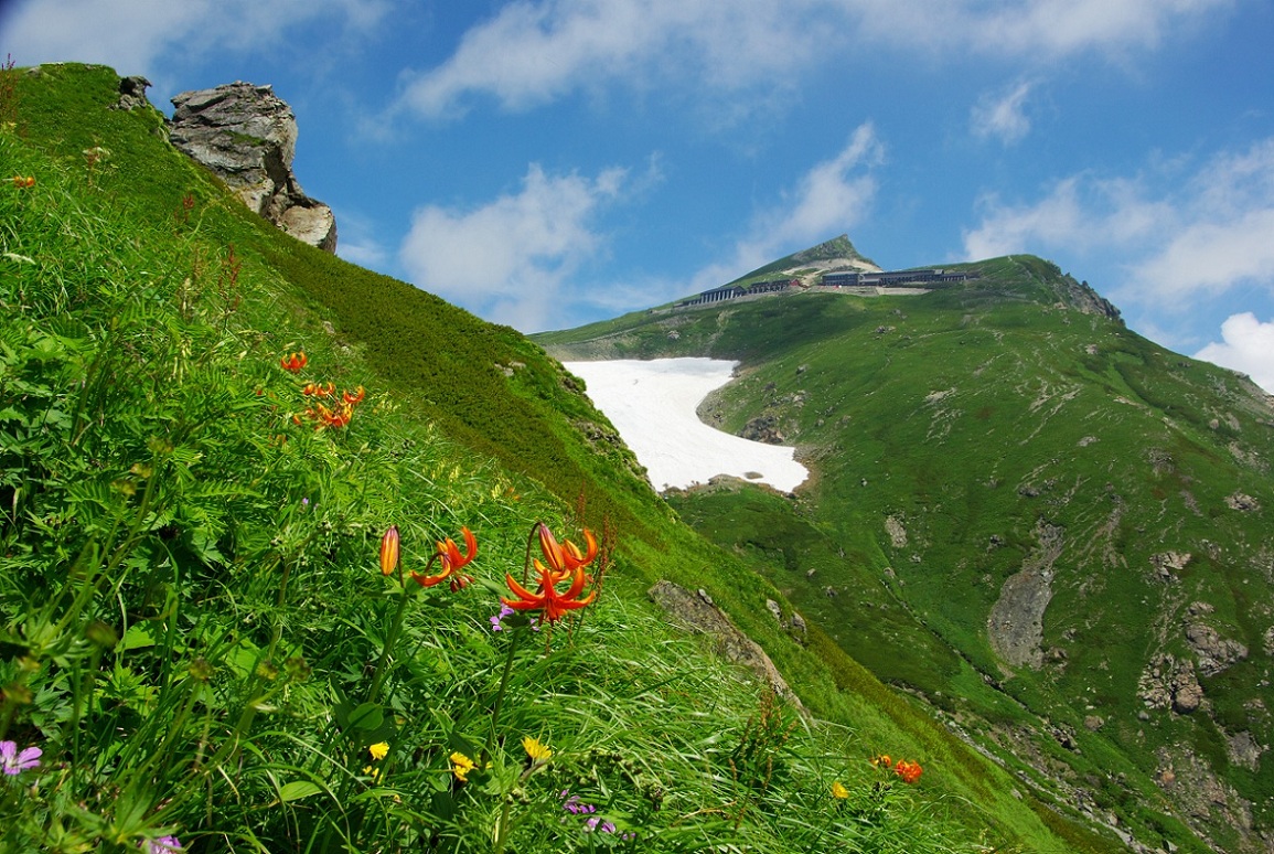 b0062024_2114335.jpg