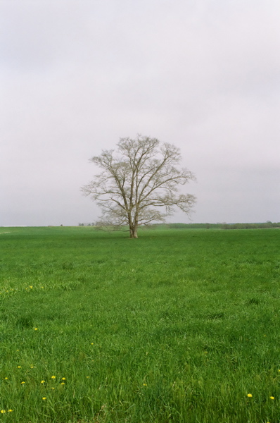 f0182924_22422724.jpg
