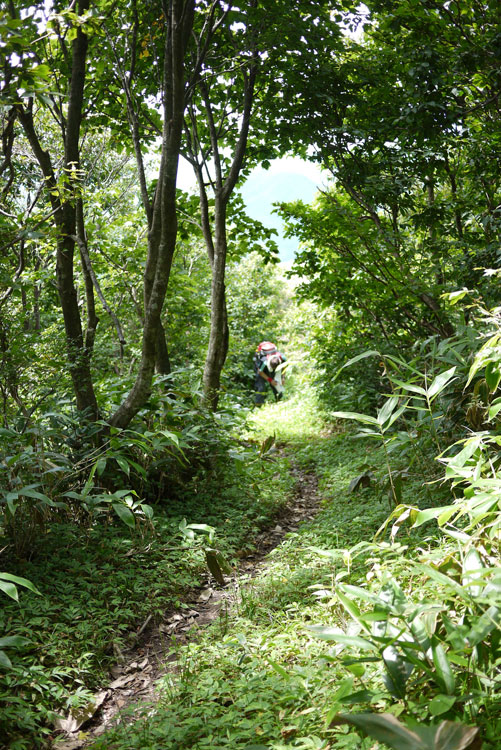 c0064025_18125853.jpg