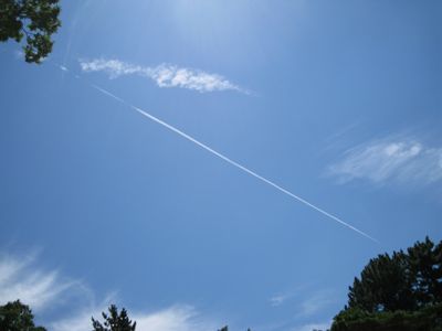 f0158625_21325899.jpg