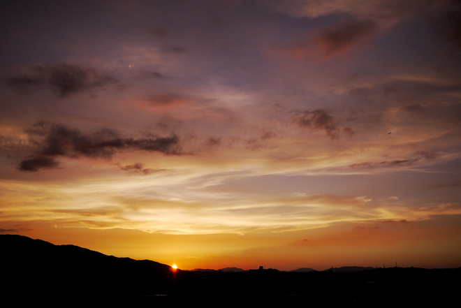 e0200926_1137751.jpg