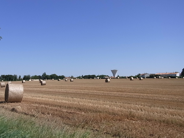 b0070127_16244033.jpg