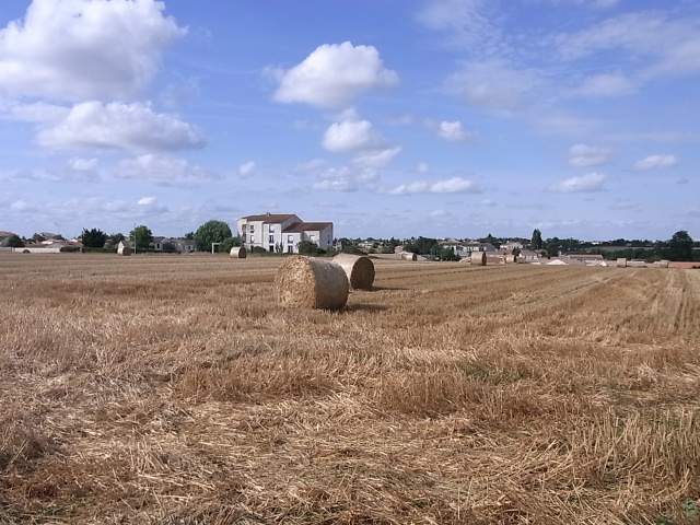 b0070127_1626133.jpg