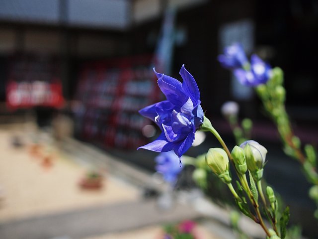 b0134829_16511816.jpg