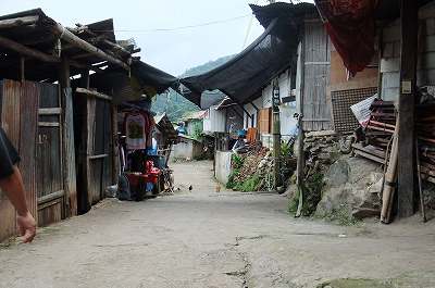 a0177032_23532632.jpg