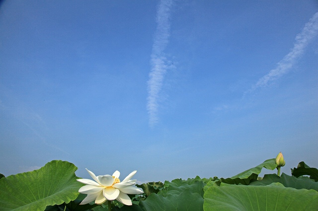 a0242438_21551828.jpg