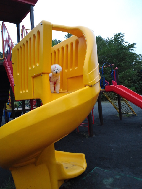 c0117239_8342870.jpg