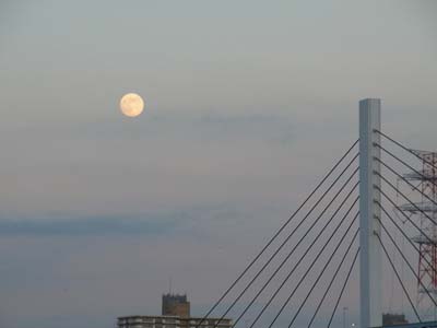 b0019140_1737414.jpg