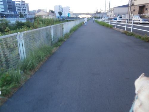 e0121548_19555622.jpg