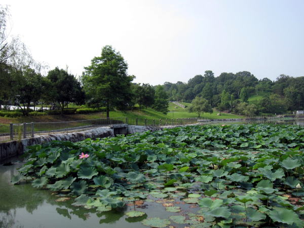 c0147952_23413382.jpg