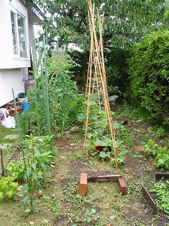 e0004756_21103329.jpg