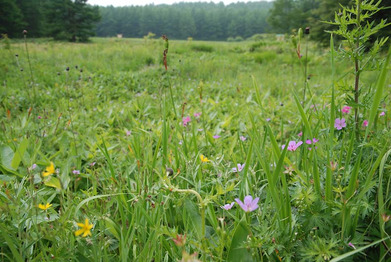 c0043361_0515136.jpg