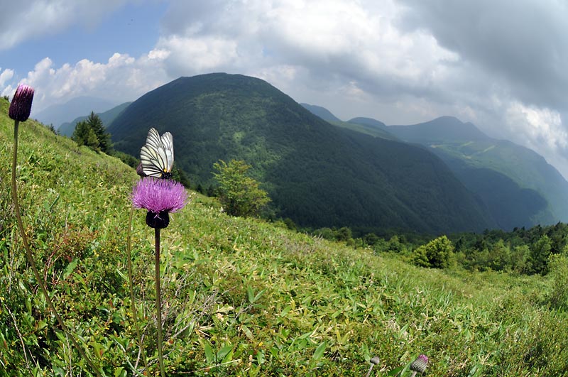 c0043361_056616.jpg