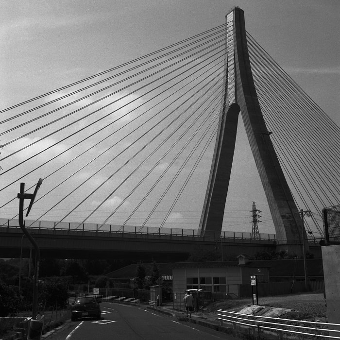 b0175964_17222359.jpg