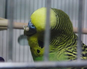 f0196665_032449.jpg