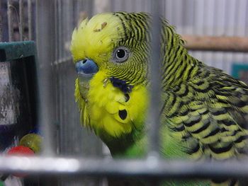 f0196665_091662.jpg