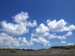 f0016868_11365714.jpg