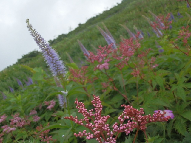 c0042869_63223.jpg