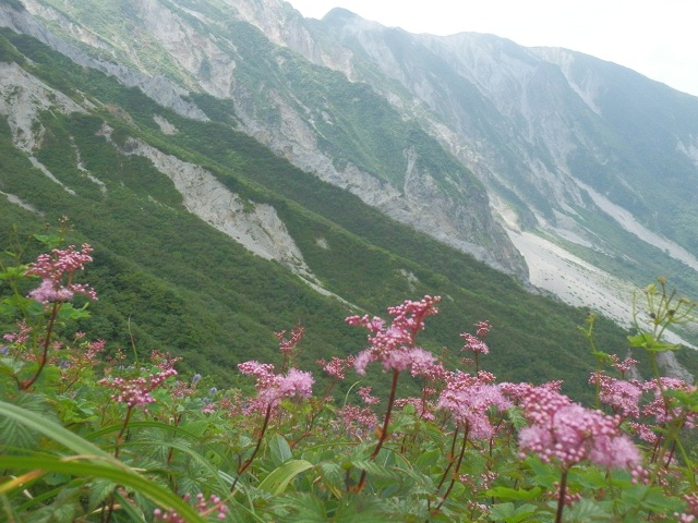 c0042869_635285.jpg