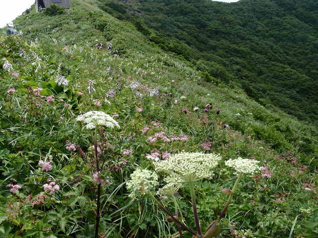 c0042869_654417.jpg