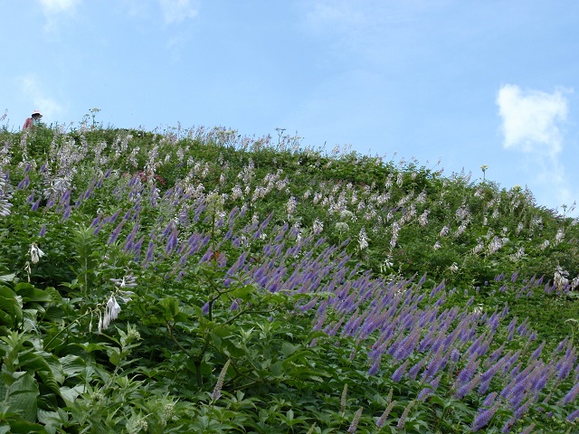 c0042869_67057.jpg