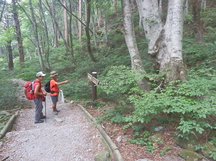 c0042869_7105386.jpg
