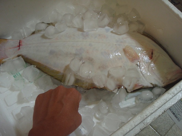 f0096569_730151.jpg