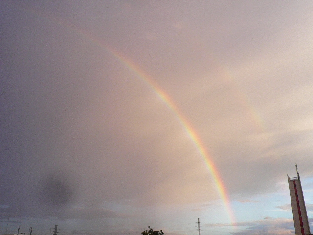 d0147774_10303058.jpg