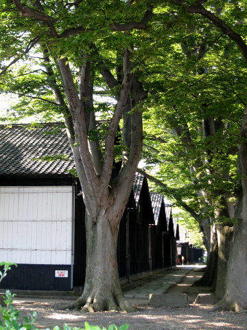 b0193479_0463152.jpg