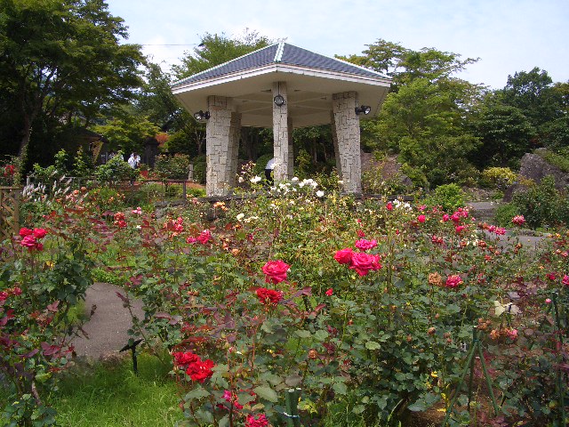 e0114588_19193112.jpg