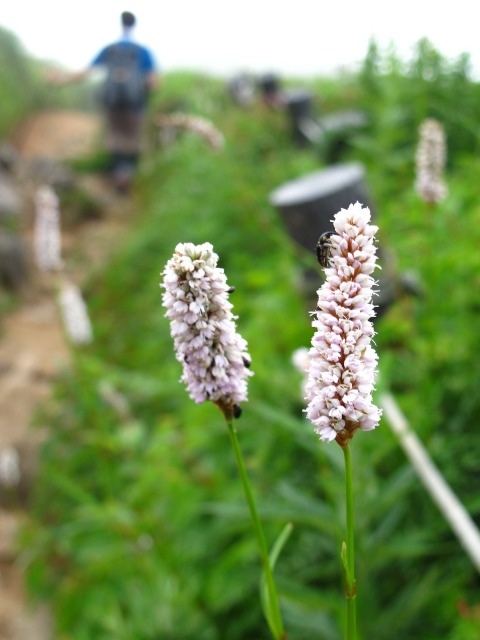 c0171790_22424020.jpg