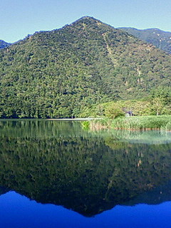 f0018790_9562249.jpg