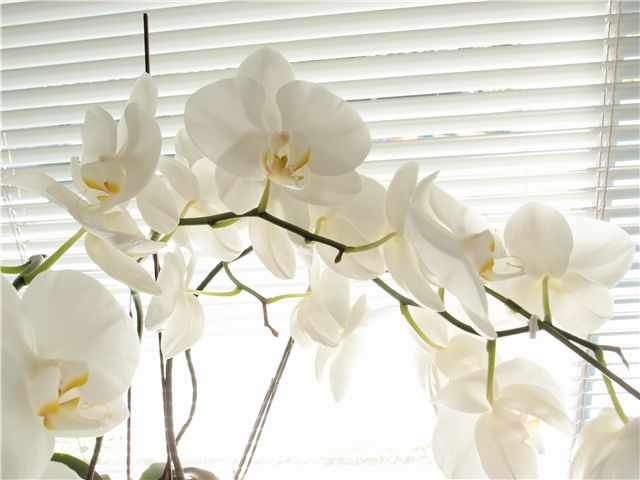 f0224100_630359.jpg