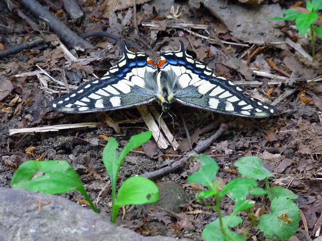 f0157901_21123357.jpg