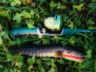 c0023804_169123.jpg