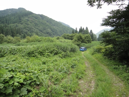 b0172805_272124.jpg