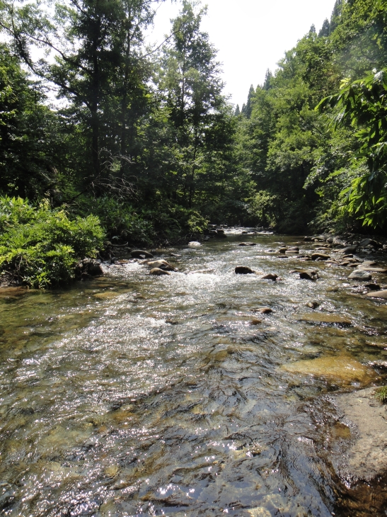 b0172805_28474.jpg