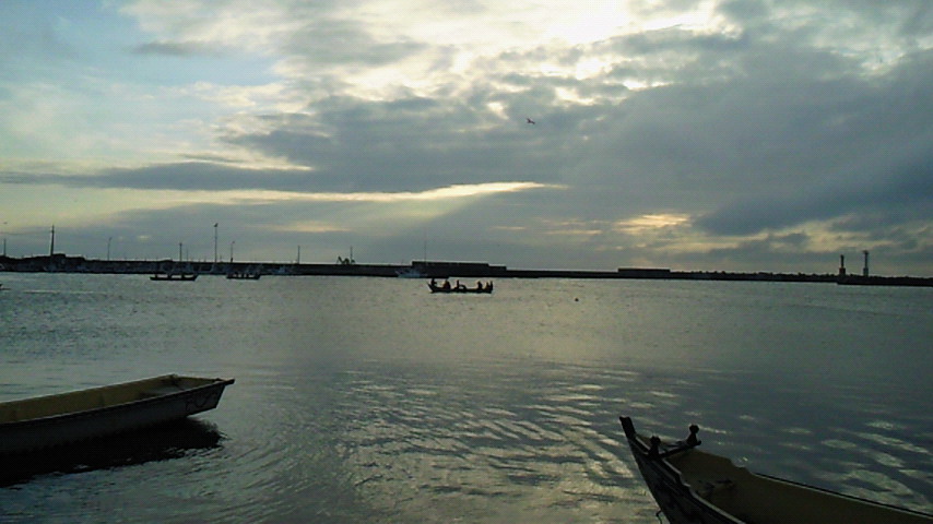 d0149105_19259.jpg