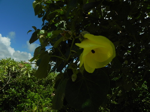 e0238313_21392513.jpg