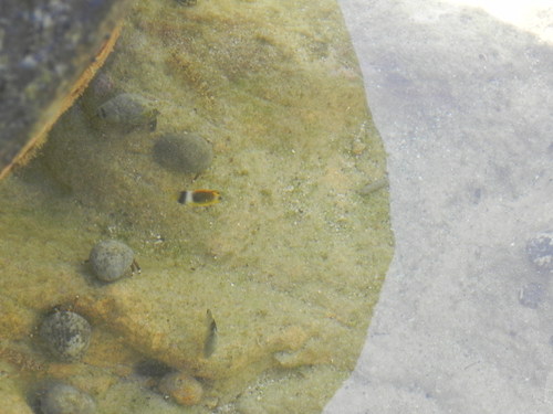 e0238313_2157255.jpg