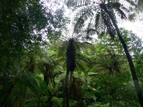 e0238313_2216917.jpg